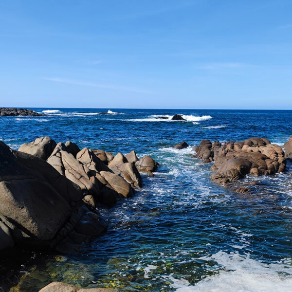 Eco Atlantic Adventures Fanad Coast with Rocks