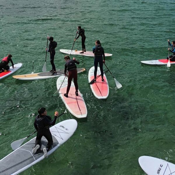 Group of Stand-up Paddleboarders