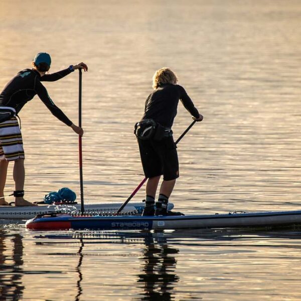 Pair of Stand-up Paddleboarders
