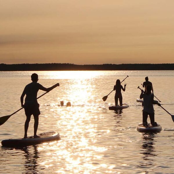 Silhouettes of people stand-up paddling