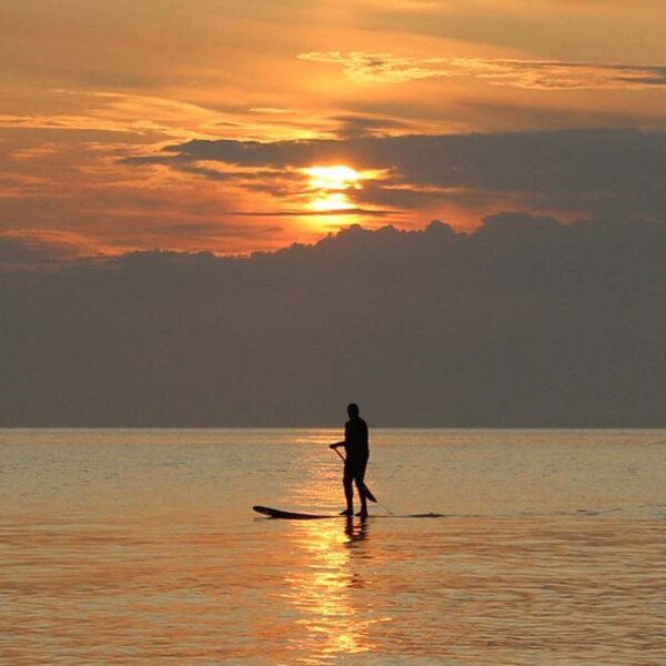 Paddle boarder watching the sunset