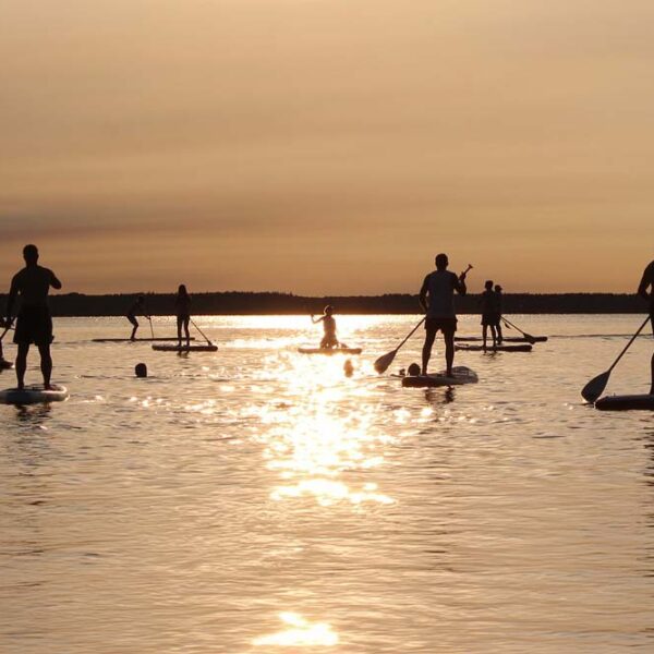 Paddle boarders under the sunset