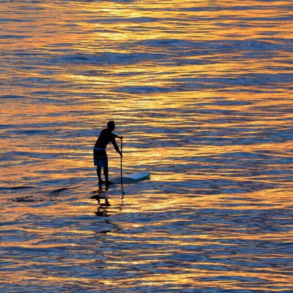 Sunset Paddle boarder