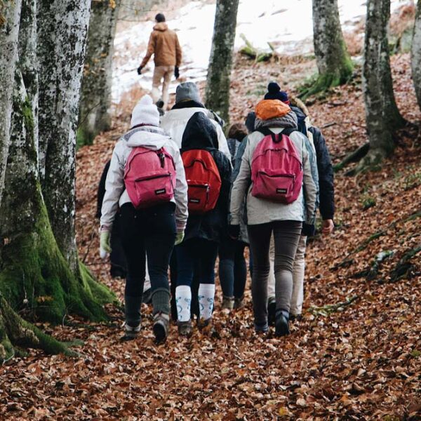 group of students walk through the forest