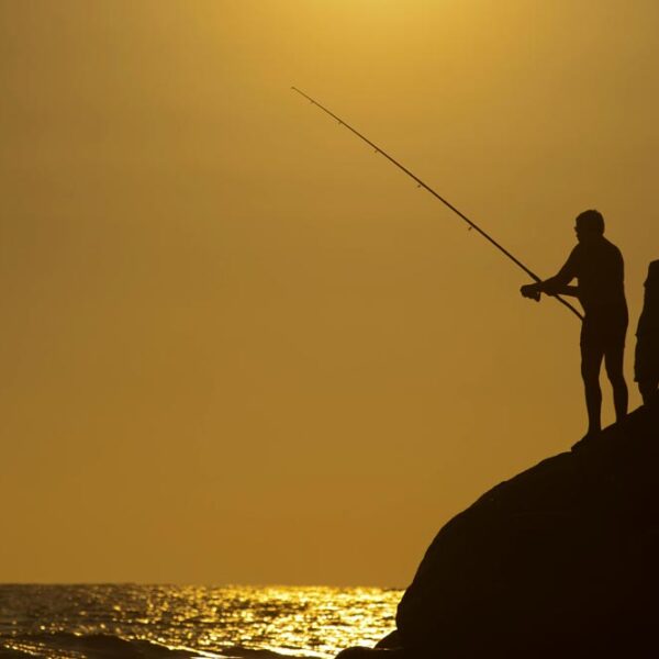 silhouette of two men standing on a rock fishing